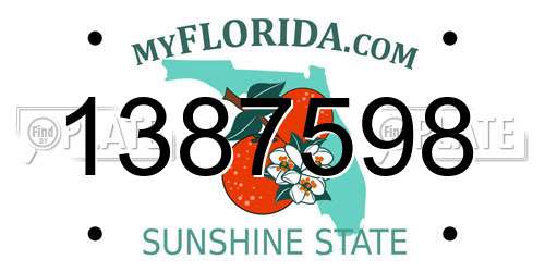 1387598 Florida License Plate