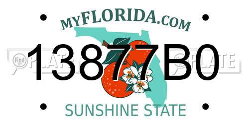 13877B0 Florida License Plate