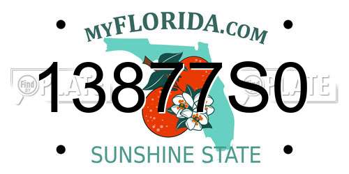 13877S0 Florida License Plate