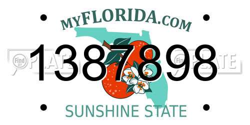 1387898 Florida License Plate