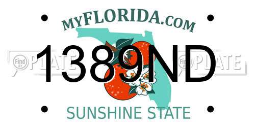 1389ND Florida License Plate