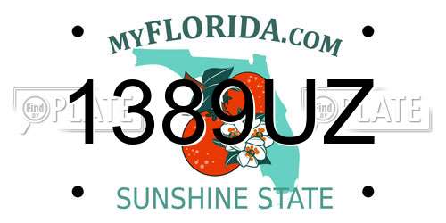 1389UZ Florida License Plate
