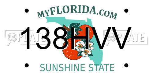 138HVV Florida License Plate