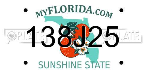 138J25 Florida License Plate