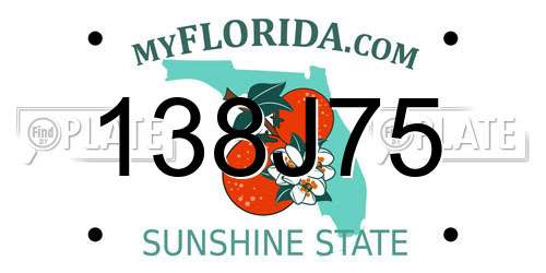 138J75 Florida License Plate