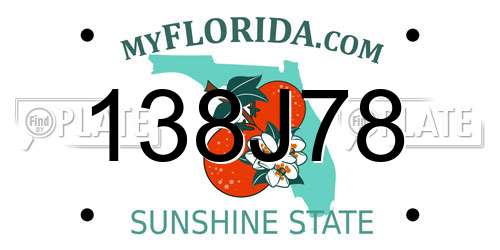 138J78 Florida License Plate