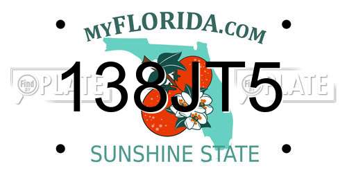 138JT5 Florida License Plate