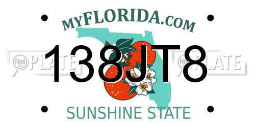 138JT8 Florida License Plate