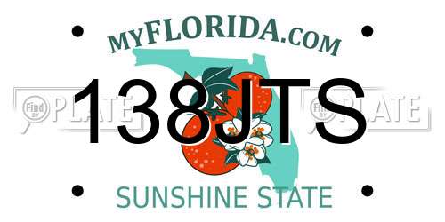 138JTS Florida License Plate