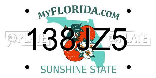 138JZ5 Florida License Plate