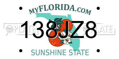 138JZ8 Florida License Plate
