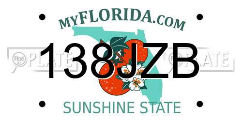 138JZB Florida License Plate