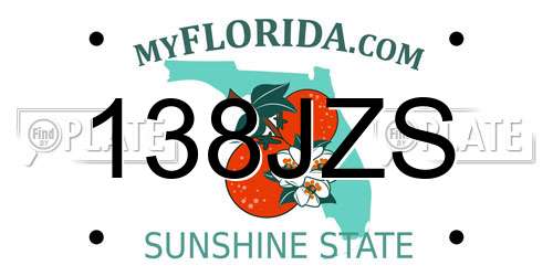 138JZS Florida License Plate