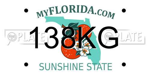 138KG Florida License Plate