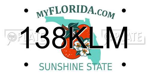 138KLM Florida License Plate