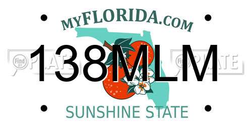 138MLM Florida License Plate