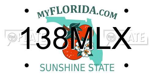 138MLX Florida License Plate