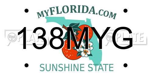 138MYG Florida License Plate
