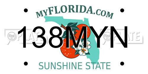 138MYN Florida License Plate