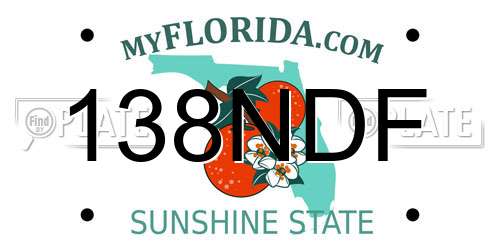 138NDF Florida License Plate