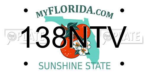 138NTV Florida License Plate