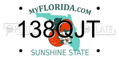 138QJT Florida License Plate