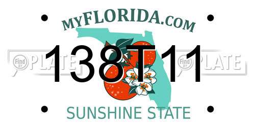 138T11 Florida License Plate