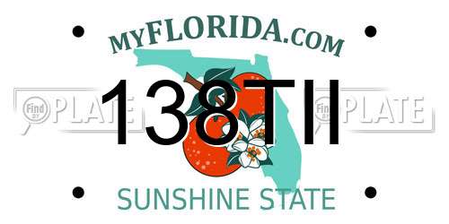 138TII Florida License Plate