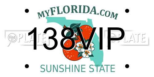 138VIP Florida License Plate
