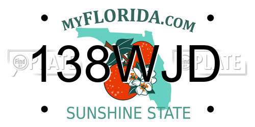 138WJD Florida License Plate
