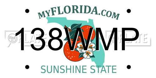 138WMP Florida License Plate
