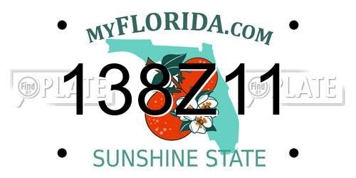 138Z11 Florida License Plate