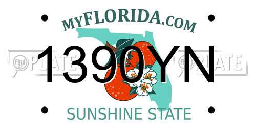 1390YN Florida License Plate