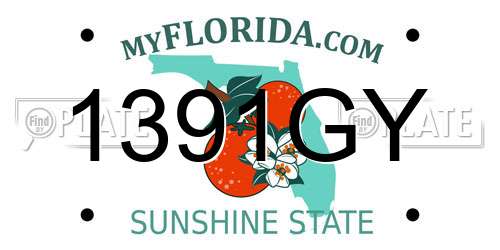1391GY Florida License Plate