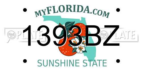 1393BZ Florida License Plate