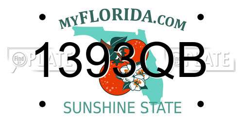 1393QB Florida License Plate