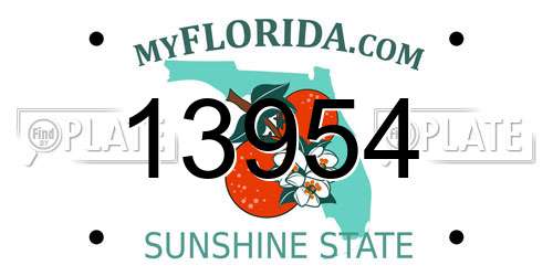 13954 Florida License Plate