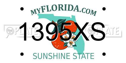 1395XS Florida License Plate
