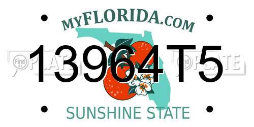 13964T5 Florida License Plate