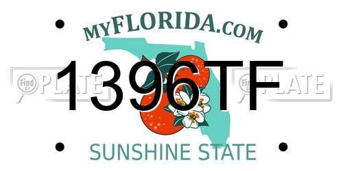1396TF Florida License Plate