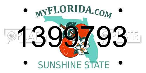 1399793 Florida License Plate