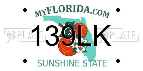139LK Florida License Plate
