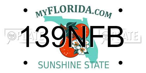 139NFB Florida License Plate