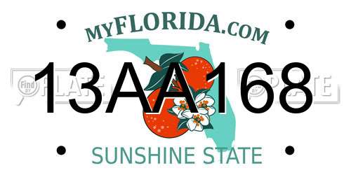 13AA168 Florida License Plate