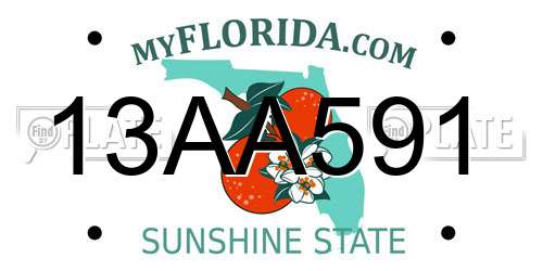 13AA591 Florida License Plate