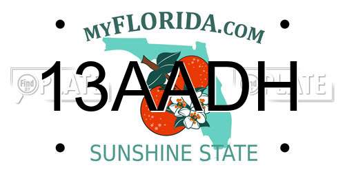 13AADH Florida License Plate