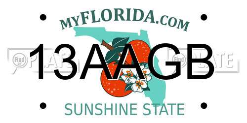 13AAGB Florida License Plate