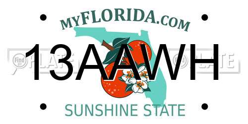 13AAWH Florida License Plate
