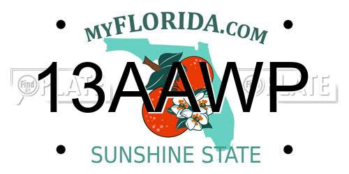 13AAWP Florida License Plate
