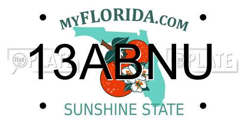 13ABNU Florida License Plate
